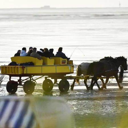 Strandhochhaus Sg01 *